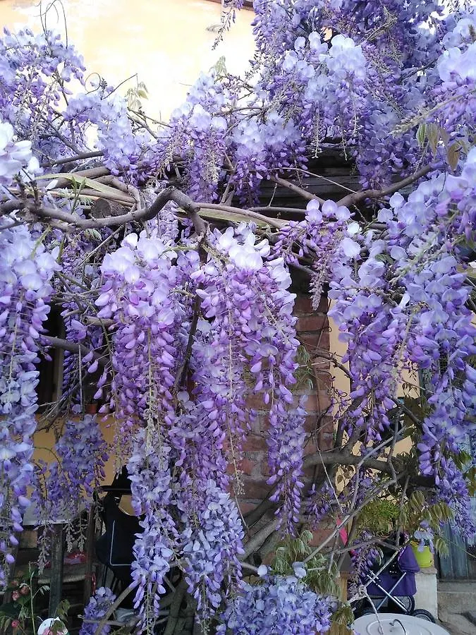Guest house Villa Le Pergole- Firenze Italy